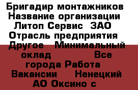 Бригадир монтажников › Название организации ­ Литоп-Сервис, ЗАО › Отрасль предприятия ­ Другое › Минимальный оклад ­ 23 000 - Все города Работа » Вакансии   . Ненецкий АО,Оксино с.